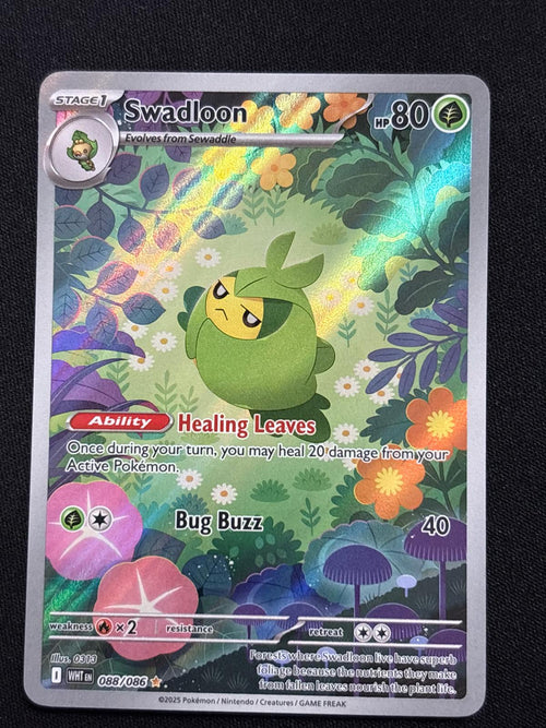 Swadloon 088/086 - Inglés