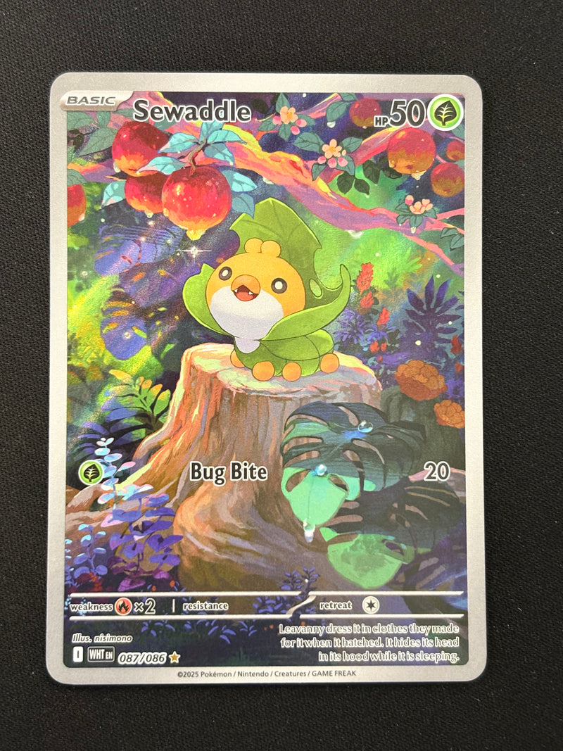 Sewaddle 087/086 - White Flare - Inglés